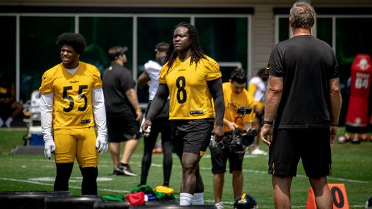 Adding Ingram keeps Steelers' pass rush fearsome taken on the South Side (Steelers)